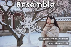 resemble