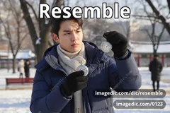 resemble