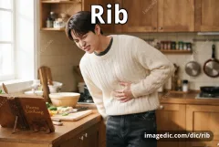 rib