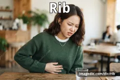 rib