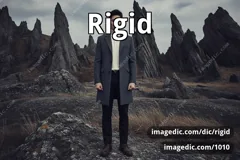 rigid