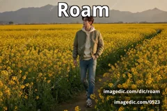 roam