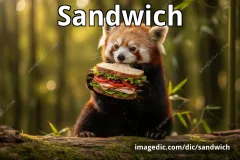 sandwich