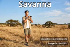 savanna