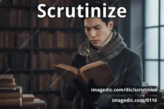 scrutinize