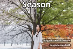 season