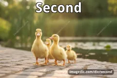 second