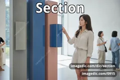section