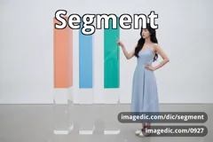 segment