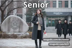 senior
