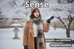 sense