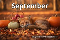 September