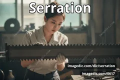 serration