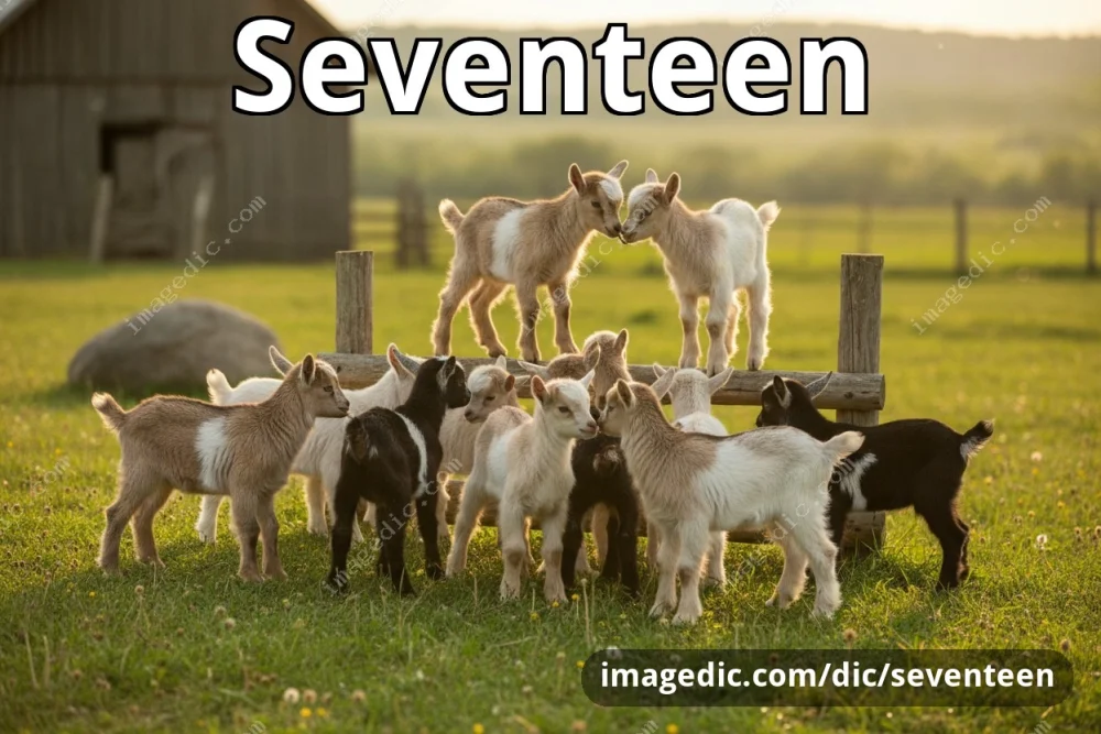 seventeen