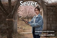 sever