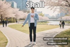 shall