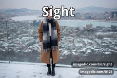 sight