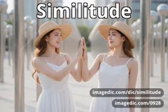 similitude