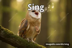 sing