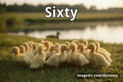 sixty