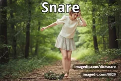 snare