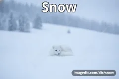 snow