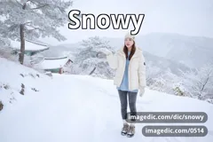 snowy