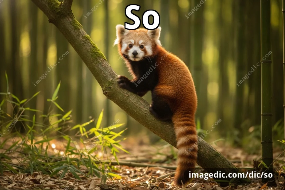 so