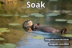 soak