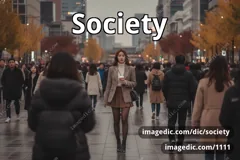 society
