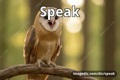 speak
