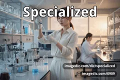specialized