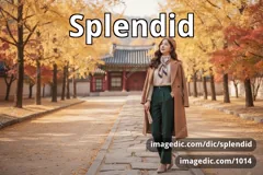 splendid