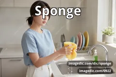 sponge