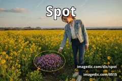 spot