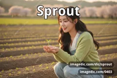 sprout