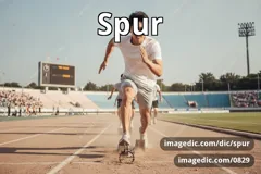 spur