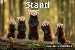 stand