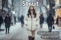 strut