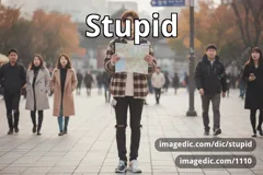 stupid