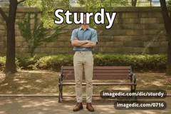 sturdy