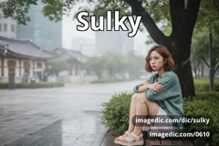 sulky