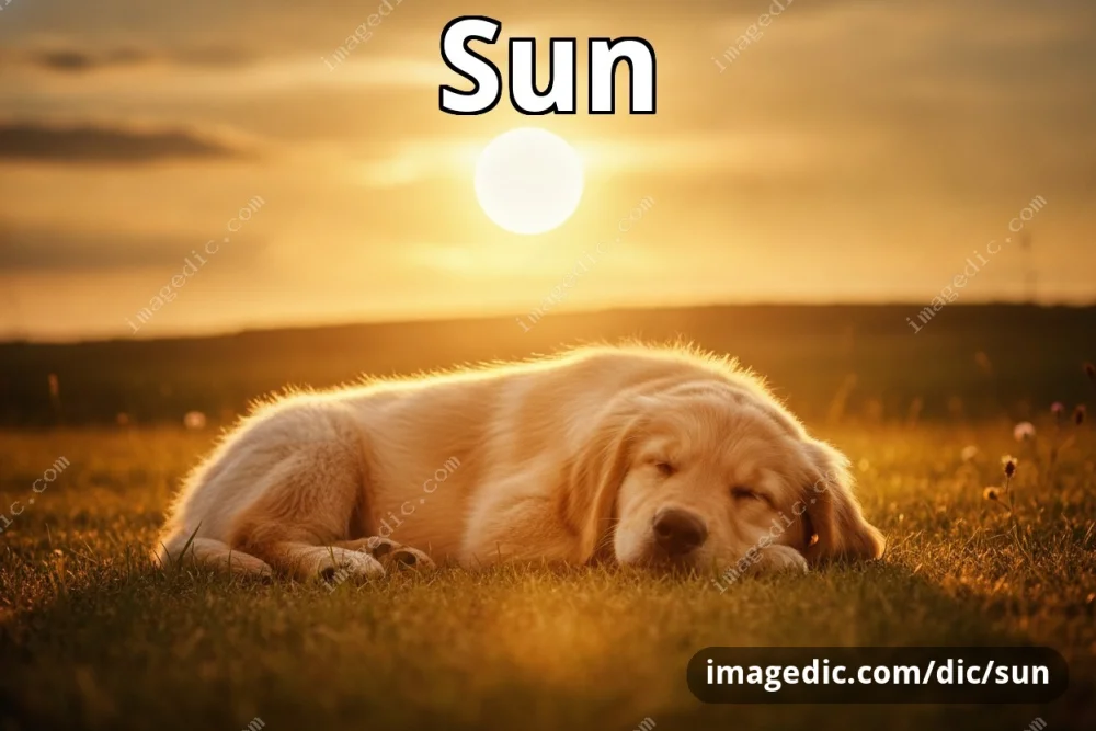 sun