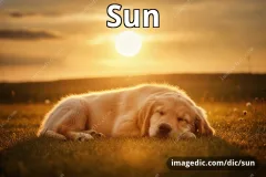 sun