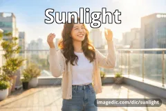 sunlight