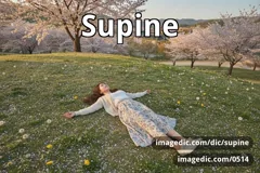 supine