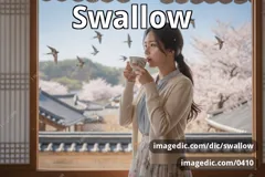 swallow