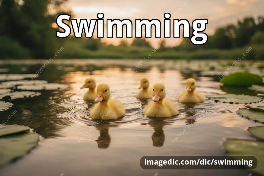 swimming