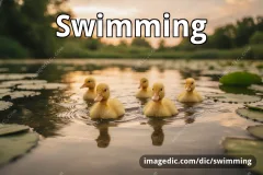 swimming