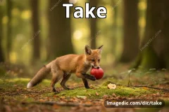 take